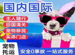 丽江三义航空托运国际宠物托运 【国